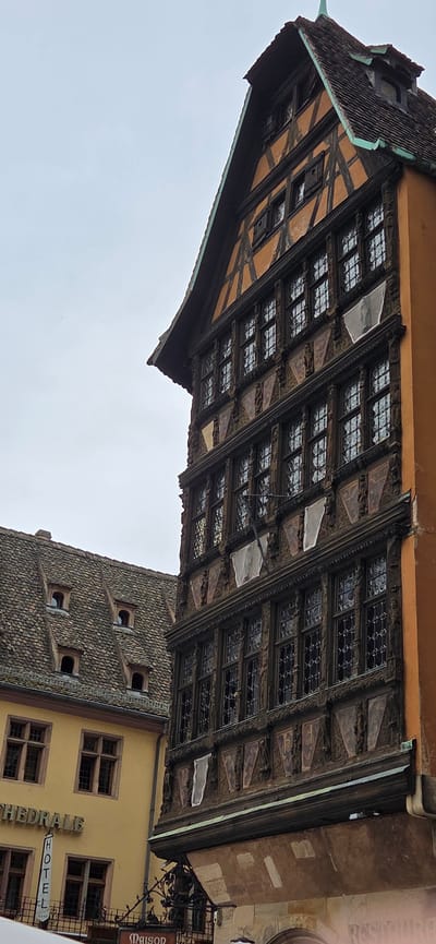 The image captures a detail of historic timber-framed buildings in Strasbourg, France. The main focus is on the ornate facade of a dark timber-framed building with multiple floors of windows. These windows are characterized by their diamond-shaped panes and dark wooden frames, creating a repeating pattern. Between the windows, the structure features carved decorative elements and what appear to be shields or triangular motifs. The building's roofline is steep and tiled, with a dark green trim along the eaves and a pointed spire topping the uppermost section.

To the left, a contrasting building with a yellow facade is visible. This building has a steeply pitched, dark tiled roof dotted with several small, dark-rimmed dormer windows. The yellow building features larger, multi-paned windows on its upper floors. A vertical banner with the word "HOTEL" in white lettering on a black background is affixed to the yellow building, and below it, some signage with the word "MAISON" is partially visible. The sky above is overcast and pale. The overall scene depicts an architectural ensemble typical of the historic districts of Strasbourg.