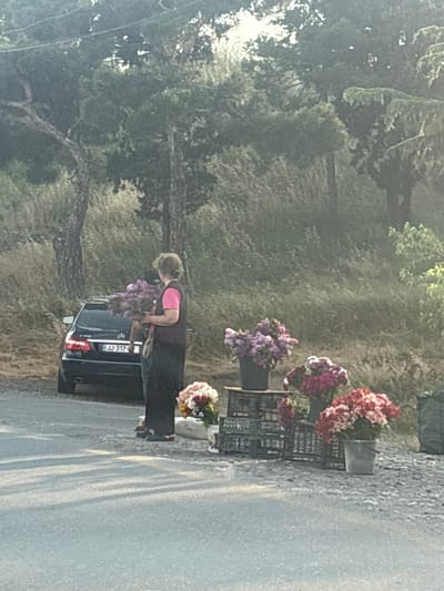 A woman, dressed in a pink top and dark pants, is leaning over the trunk of a black Mercedes sedan, arranging a bouquet of purple flowers. She is standing on the side of a road in a natural setting, with trees and foliage in the background. Several other bouquets of flowers, in shades of pink, red, and purple, are displayed in dark crates on the side of the road, suggesting a flower stand or roadside vendor. The scene appears to be outdoors, and the lighting suggests it is daytime. The license plate of the car is visible and reads "JJ-317". The overall atmosphere is one of commerce and nature, with the woman engaged in her work amidst the greenery.