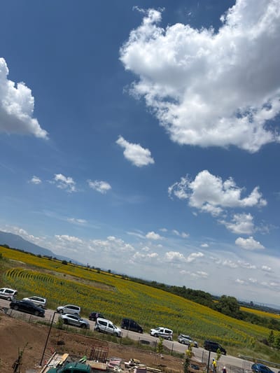 In Lozen, Bulgaria, a vast field of sunflowers stretches across a sloping terrain under a bright blue sky dotted with fluffy white clouds. Several cars are parked and driving along a road that borders the sunflower field. In the foreground, construction materials and equipment are visible, suggesting ongoing development. The scene captures a blend of natural beauty and urban expansion.