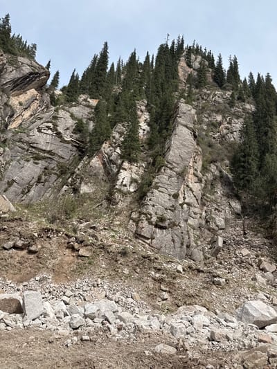 The image captures a steep, rocky mountain face heavily vegetated with coniferous trees under an overcast sky. The prominent subject is a rugged cliff, composed of light grey rock, possibly granite or limestone, displaying distinct layers and fractures. Dense evergreen trees, likely pines or firs, grow along the upper ridge of the cliff and in various cracks and ledges, contrasting with the pale, uniform sky visible at the top.
The lower right side of the frame features a rough, unpaved area that appears to be a path or the side of a road. This section is covered in an abundance of loose, light-colored rocks and gravel, intermixed with patches of sparse dirt and dry, reddish-brown vegetation. The overall impression is one of a natural, untamed mountainous environment.
No people, animals, or man-made structures are visible. The muted, even lighting suggests an overcast day, preventing harsh shadows and highlighting the textures of the rocks and foliage. There is no visible text in the image. The scene is a static landscape shot, typical of the mountainous terrain found in Grigor'yevka, Kyrgyzstan.