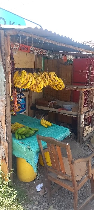 The image portrays an open-fronted, informal market stall characteristic of urban informal settlements or roadside markets in Nairobi, Kenya. The structure consists of rough wooden poles and planks supporting a corrugated metal roof. Numerous bunches of ripe yellow bananas are suspended from a string across the upper front opening of the stall. Below, a wooden table or counter, covered with a turquoise woven tarpaulin or mat, displays a pile of green unripe bananas and several ripe yellow bananas. Two large yellow plastic barrels are positioned beneath the table.

Inside the stall, along the back and right walls, stacked brown cardboard boxes and red crates are visible on makeshift wooden shelves, indicating storage. A red object, possibly a cooler or container, is situated on an upper shelf to the right. Above the hanging bananas, multiple signs are affixed, including one partially visible sign with red and white lettering reading "GEN SLICE." Another partially obscured blue and white sign on the back wall displays text and numerical values, including "50/=", commonly denoting prices in Kenyan Shillings.

In the foreground, a worn brown wooden chair with a partially torn cardboard seat insert is positioned on the unpaved ground, which consists of dirt and gravel with scattered debris, including a piece of white paper. Green vegetation is visible on the far left. No individuals are present in the scene, and no active transactions or interactions are depicted.