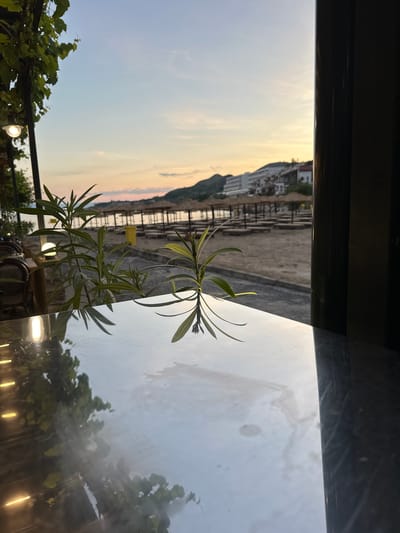 The image depicts a tranquil evening scene at a beachfront location in Topola, Bulgaria. In the foreground, a glossy, reflective surface, likely a table, occupies the lower portion of the frame. A small green plant with slender leaves is positioned in front of this surface, casting a clear reflection.
Beyond the reflective surface, a beach is visible, lined with numerous empty sun loungers and straw umbrellas. The sand appears light in color. A walkway or path runs along the edge of the beach, and further inland, buildings, including a multi-story hotel, are nestled into a hillside. The sky above is a soft gradient of pastel colors, transitioning from pale blue at the top to hues of orange and pink near the horizon, suggesting either sunrise or sunset.
To the left, part of a vine with green leaves drapes down, and a lit bulb hanging from a fixture is partially visible. On the far right, a dark, vertical element, possibly a pillar or window frame, creates a strong contrast and frames the scene. The overall atmosphere is serene and peaceful, indicative of a quiet moment by the sea.