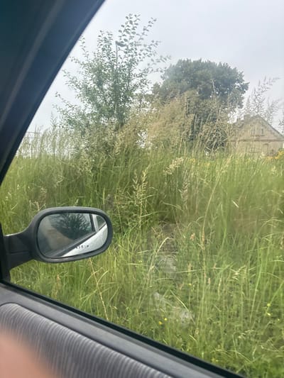 The image, taken from inside a vehicle, shows a view through the passenger-side window. In the foreground, the gray, textured interior of the car door is visible. A black side-view mirror is mounted on the door. Beyond the mirror, a dense field of tall green grass and vegetation stretches into the background, obscuring much of the environment. The grass is a mix of various types, with some seed heads visible. In the middle ground, a large, mature tree with dark green foliage is present, and behind it, a portion of a light-colored building with a sloped roof and a small window is discernible. The sky appears overcast and light gray. The reflection in the side-view mirror shows trees and a road, suggesting the vehicle is in motion or parked near such a setting. The scene suggests a rural or semi-rural location, possibly in Słupia pod Kępnem, Poland, given the context.