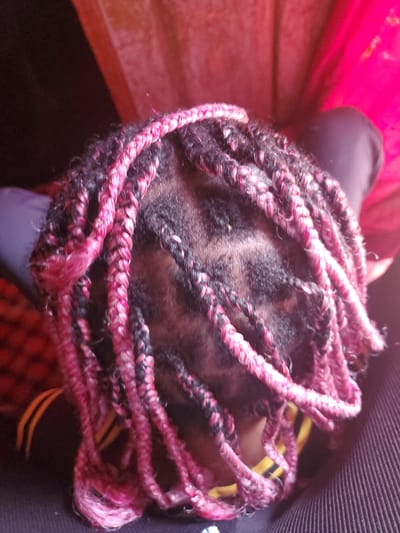 The image shows a close-up view of a person's head with braided hair. The braids are a mix of black and pink strands, tightly woven together. The person's scalp is visible between the braids, showing dark hair. The background is blurred, but appears to include some fabric in bright pink and dark purple hues, along with some yellow and black striped material. The scene seems to be indoors, possibly a home setting, given the soft lighting and casual arrangement of fabrics. There is no text visible in the image. The focus is entirely on the hairstyle, highlighting the texture and color of the braids. The overall impression is one of a person with a distinctive and well-maintained hairstyle.