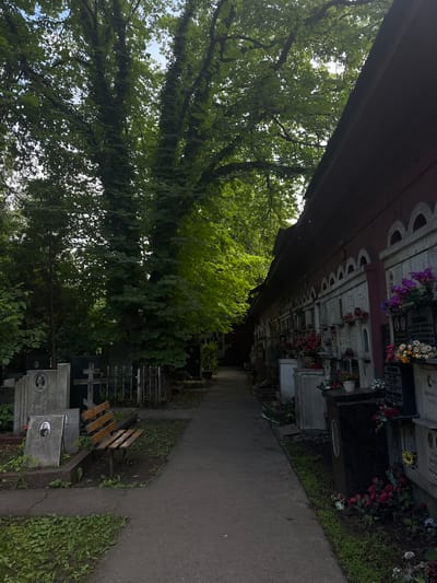 The image depicts a walkway through a cemetery, likely in Moscow, Russia, given the style of the columbarium and gravestones. On the right side of the walkway is a columbarium, a building with multiple niches for storing urns of cremated remains. The columbarium is painted a deep red and features a row of arched openings, each housing a niche with a nameplate and often decorated with flowers and candles. The niches are stacked in multiple rows, creating a long facade. On the left side of the walkway are gravestones of various sizes and materials, including some with portraits of the deceased. A wooden bench is positioned between some of the gravestones. The scene is surrounded by lush green trees with dense foliage, some of which overhang the walkway. The ground is covered with grass and weeds, indicating a somewhat aged or natural cemetery setting. The lighting suggests it is daytime, with sunlight filtering through the leaves.