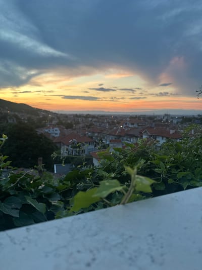 The image depicts a scenic view of Asenovgrad, Bulgaria, during twilight. The sky is a canvas of soft blues and oranges, with scattered clouds casting shadows over the cityscape below. The foreground is dominated by lush green foliage, seemingly growing over a white, textured surface, which could be a wall or railing.
In the mid-ground, a dense collection of residential buildings with terracotta roofs covers the hillside, gradually receding into the distance. The buildings are varied in size and design, typical of a European town. Some lights twinkle in the distance, suggesting the city is coming alive with evening activity.
The overall atmosphere is serene and picturesque, capturing the tranquil beauty of Asenovgrad as day transitions into night. The focus is on the natural beauty of the sky and the surrounding vegetation, juxtaposed with the urban landscape.