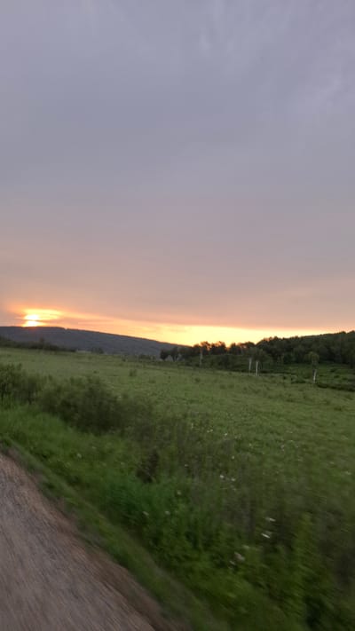 A wide shot captures a serene rural landscape during either sunrise or sunset, with the sun partially obscured by a distant, verdant hillside. The sky above is a soft gradient of pale gray to a warm peach hue, indicating the time of day. In the foreground, a textured dirt road cuts diagonally across the lower left portion of the frame, blurred by motion. Beyond the road, a lush green field stretches towards the horizon, dotted with small white flowers. The middle ground features a line of trees, some appearing bare and tall, others forming a dense forest along the edge of the field. The scene is devoid of any human presence or specific landmarks that would pinpoint a location within the city of Uril, Russia.