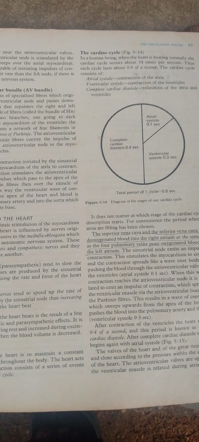 The image is a scanned page from a biology textbook discussing the human circulatory system, specifically focusing on the cardiac cycle. There are no people or discernible scenes from Nigeria present. The primary content consists of text explaining physiological processes and a diagram illustrating the stages of a cardiac cycle.
The text on the left side of the page discusses the atrioventricular valves, AV bundle, and the intrinsic stimulation of the myocardium by the heart itself, as well as the influence of the autonomic nervous system (sympathetic and parasympathetic nerves) on heart rate. It describes how the heart maintains a constant action through a series of events that constitute a cardiac cycle.
The right side of the page is dedicated to "The cardiac cycle." It explains that in a human, a normal heartbeat occurs about 74 times per minute, with each cycle lasting approximately 0.8 seconds. The cycle is broken down into three phases: atrial systole (contraction of the atria), ventricular systole (contraction of the ventricles), and complete cardiac diastole (relaxation of both atria and ventricles).
A pie chart diagram, labeled "Figure 5:14 Diagram of the stages of one cardiac cycle," visually represents these phases. It shows atrial systole lasting 0.1 seconds, ventricular systole lasting 0.3 seconds, and complete cardiac diastole lasting 0.4 seconds, totaling 0.8 seconds for one cycle. The text further elaborates on the flow of blood through the heart during these stages, mentioning the superior and inferior vena cava, pulmonary veins, atria, ventricles, atrioventricular valves, and the aorta. It also notes that the valves open and close based on pressure within the heart chambers.
The overall context is educational, providing scientific information about the mechanics of the heart. There are no indications of time of day, weather, emotions, or specific locations beyond what is implied by a textbook about human physiology.