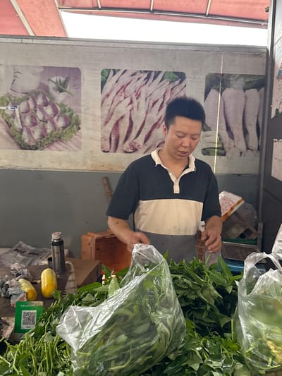 An East Asian male, clad in a black and white polo shirt and a dark apron, is positioned behind a market stall counter in Jiangjin, China. He is actively engaged with large piles of fresh green leafy vegetables, some of which are already packaged in clear plastic bags, occupying the foreground of the scene. To his left, a silver thermos, a green QR code for mobile payment, two yellow, shriveled fruits or vegetables, and crumpled newspaper are visible on the counter. The background features a light-colored wall adorned with three large pictorial advertisements: the leftmost displays arranged raw fish or meat fillets garnished with lettuce, while the central and right advertisements depict quantities of raw white fish or meat cuts. A dark wooden utensil is mounted on the wall behind the vendor. Overhead, a red awning structure suggests an outdoor or semi-enclosed market setting.