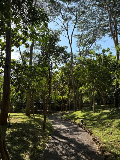 The image depicts a sun-dappled pathway through a lush, tropical garden environment, likely located in Kuta Selatan, Indonesia. The pathway, composed of dark gravel, winds gently to the right, bordered by a neatly arranged stone wall and vibrant green grass. Tall, mature trees with dense canopies dominate the scene, their leaves casting intricate shadows on the ground and path. The sunlight filters through the foliage, creating a serene and inviting atmosphere. In the background, hints of rustic structures, possibly gazebos or open-air pavilions, can be seen nestled amongst the trees, suggesting a recreational or resort setting. The sky is a clear, bright blue, with a few wispy clouds. No people are visible in the image. The overall impression is one of tranquility and natural beauty within a well-maintained landscape.