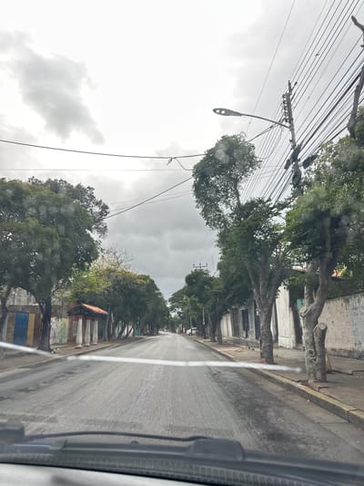 The image depicts a street scene in Santa Ana, Venezuela. The perspective is from inside a vehicle, looking forward. The road is paved and appears wet, possibly from recent rain, with visible tire marks and some debris. On both sides of the street are trees with thin trunks and full canopies of green leaves. Several utility poles with numerous electrical wires are visible overhead.
To the left of the road, there are buildings with colorful doors and a covered structure with pillars. The architecture suggests a residential or commercial area. Further down the street, more buildings and trees line the roadway. The sky is overcast with thick grey clouds, indicating a cloudy or potentially rainy day.
On the right side of the street, the ground level appears to be a sidewalk with a concrete curb bordering the road. There are more buildings and trees. A short, light-colored wall runs along the sidewalk in some areas.
There are no people clearly visible in the immediate foreground or mid-ground. The overall impression is that of a quiet street on an overcast day in a Venezuelan city.