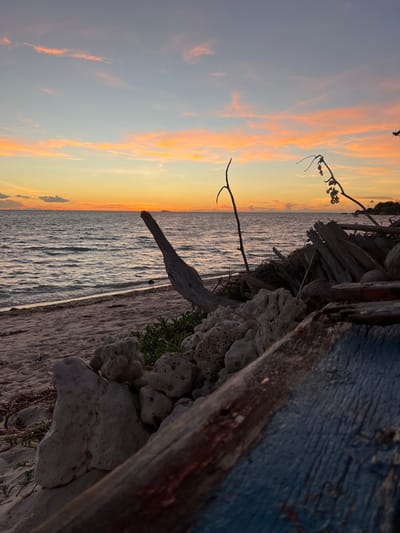 The image depicts a serene sunset scene on a beach in Koh Phangan, Thailand. The sky is a gradient of soft orange, yellow, and pink hues, with wispy clouds scattered across. The calm ocean stretches to the horizon, reflecting the warm colors of the sunset. In the foreground, a sandy beach is littered with various natural elements. A large piece of weathered driftwood stands prominently on the right side of the frame, pointing towards the sea. Scattered around are pieces of coral and smaller rocks, adding texture to the scene. Further back on the beach, a collection of other debris, including what appears to be pieces of wood, is piled up. The vegetation on the beach is sparse, with some small green plants growing near the rocks. The overall atmosphere is tranquil and picturesque, capturing the beauty of a tropical sunset. There are no people or animals visible in the image.