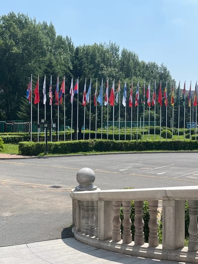 This image shows a line of international flags displayed on poles against a backdrop of green trees and a clear blue sky. The flags are arranged in a row along a manicured hedge. In the foreground, there is a paved area that appears to be a parking lot or plaza, with some yellow lines marking parking spaces. A decorative stone balustrade runs along the right side of the foreground. The scene suggests an outdoor event or a location of international significance. The location is identified as being in Changchun City, China.