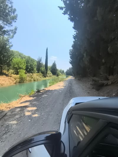 The image depicts a dirt road alongside a bright turquoise canal. On the left bank of the canal, there is lush green vegetation and trees covering a hillside. A tall, slender evergreen tree stands prominently in the middle distance. The right side of the road is bordered by a dense forest of dark green trees, casting shadows on the road. The perspective suggests the photo was taken from a moving vehicle, with the hood and a side mirror of a white car visible in the foreground. The sky is a clear, pale blue, indicating a sunny day. The scene is likely in a rural or natural area, possibly within or near Manavgat, Turkey, given the characteristic vegetation and water features common in the region.