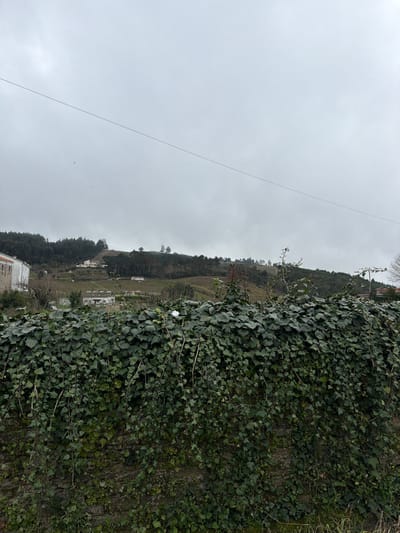 The image displays a static, exterior scene captured on an overcast day in Vila Real, Portugal. In the foreground, a substantial stone or masonry wall, roughly waist-height, is heavily covered in dark green ivy, with many strands trailing downwards. A small, irregular white object rests atop the ivy, slightly left of the image's vertical center. Above the wall, the midground reveals a series of undulating hills, predominantly covered in dark green vegetation, including dense tree cover and areas of lighter, possibly cultivated land. Scattered across these hills are several light-colored buildings, identifiable by their facades and distinct rooflines, indicating a rural or semi-rural settlement. A prominent, thin dark wire or power line stretches horizontally across the upper third of the frame. The background consists of a uniformly light grey, overcast sky, indicating diffuse natural light conditions. No human figures or discernible activities are present.