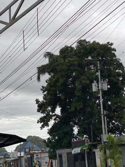 This media file captures an urban street scene in Tinaquillo, Venezuela, under an overcast sky. The image features a prominent network of power lines stretching diagonally across the frame, with several thick wires closest to the viewer in the lower left, and others receding into the distance. A utility pole with two transformers is visible in the upper mid-right, partially obscured by a large, densely leafed tree that dominates the right side of the image.
Below and to the right of the tree, several buildings line what appears to be a street or pathway. These structures show signs of commercial or residential use, with one building having an awning. One sign is clearly visible, displaying "Mp C.A." along with other partially legible Spanish text, including "inversiones." In the background, near the buildings, a person dressed in a yellow garment can be seen, possibly engaged in work near a blue structure or vehicle. Another figure might be faintly visible nearby.
In the immediate foreground, a dark, triangular shape, possibly a part of a vehicle or a temporary covering, occupies the lower right corner. The sky is a uniform light gray, indicating a heavily cloudy day. No specific activity beyond the apparent daily life of the area is discernible. The overall impression is one of a bustling, yet potentially overcast, urban environment in Latin America, consistent with the provided location context.