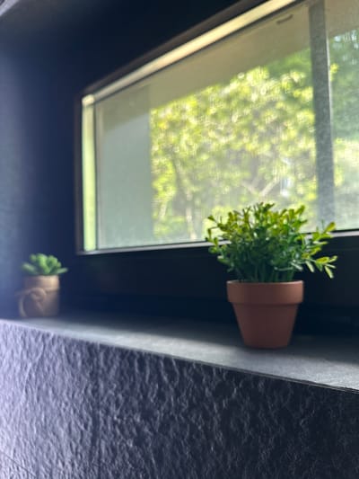 The image shows two small potted plants on a dark gray textured surface in front of a window. The plant on the left is smaller and has a neutral colored pot with a rope detail. The plant on the right is larger and appears to be a bushy green plant in a terra cotta pot. The window behind the plants reveals a blurred view of lush green trees bathed in sunlight. The overall scene is indoors, with the window suggesting a connection to an outdoor environment. The image does not contain any elements that would allow for identification of its location within Sochi, Russia.