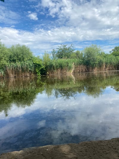 The image depicts a calm body of water with a dense line of reeds and trees along the opposite bank. The sky above is a vibrant blue with scattered white, fluffy clouds. The water acts as a mirror, reflecting the sky and the vegetation, creating a symmetrical scene. A rough, rocky edge is visible in the foreground, suggesting the viewpoint is from the bank of the water body. There are no people or animals visible in the image. The environment appears natural and tranquil, indicative of a park or a natural reserve. The location is the Kirschenertal in Sachsenheim, Germany, specifically the pond area.