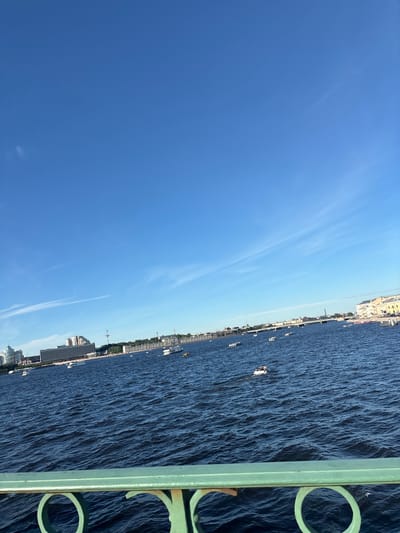 The image captures a wide view of the Neva River in Saint Petersburg, Russia, on a clear, sunny day. The deep blue water is choppy with visible waves, reflecting the bright blue sky dotted with thin, wispy clouds. In the foreground, the ornate green railing of a bridge or embankment is visible, with decorative circular patterns.
Across the river, the St. Petersburg skyline is lined with buildings of various architectural styles, including modern apartment blocks and older, more classical structures. Several boats of different sizes, including what appear to be tour boats and smaller personal vessels, are scattered across the river. One small white boat in the mid-right of the frame has at least two people aboard. The city's urban landscape extends into the distance, with bridges visible in the background. The overall scene depicts a lively urban waterway on a pleasant day.