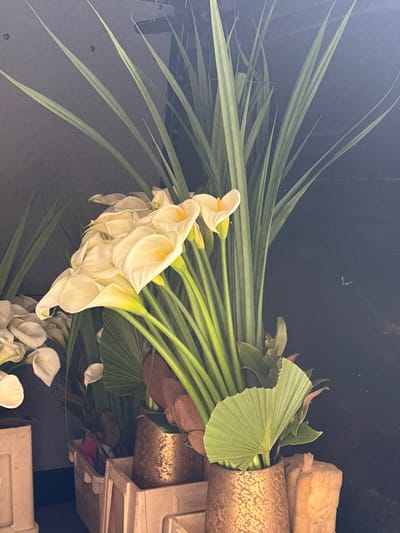 The image presents a close-up, static view of multiple floral arrangements within an indoor environment. The central and dominant subject is a dense cluster of white calla lilies (Zantedeschia aethiopica), each featuring a bright yellow spadix, with their vibrant green stems clearly visible. These lilies are arranged amidst tall, sword-like green foliage that extends upwards and fan-shaped green leaves at the base. Additional reddish-brown foliage is interspersed among the plants.
The primary floral arrangement is housed in a textured, metallic pot, appearing copper or bronze-toned, positioned in the lower right portion of the frame. A second, similar metallic pot is partially visible to the left of the first. Further left, several light-colored, rectangular crates or containers are arranged, one of which contains another grouping of white calla lilies. The background consists of a dark, uniform surface, likely a wall or partition, providing minimal environmental detail. No individuals are present. The scene is illuminated by direct light, emphasizing the details of the flowers and foliage against the deep background. The image contains no explicit visual markers to identify a specific location within Paris, France.