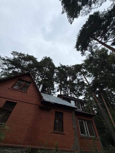 An exterior, eye-level, wide shot captures a brick house on an overcast day, surrounded by tall pine trees. The house is constructed of red brick and has a dark-colored roof with a visible metal chimney. Several windows are present, some with wooden frames and others with metal security grilles. The lower portion of the house appears to have a stone foundation. The foreground shows some sparse green foliage. The background is dominated by the dense, dark green foliage of the pine trees, which reach towards the cloudy sky. The scene is set in Udelnaya, Russia.