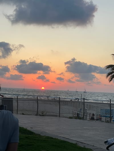 The image captures a sunset over the Mediterranean Sea in Herzliya, Israel, viewed from a paved promenade. The sky transitions from light grey-blue at the top to vibrant orange, red, and yellow hues near the horizon, with several scattered dark grey clouds. The sun, a distinct, bright orange-red orb, is positioned low over the ocean, slightly right of center. The sea surface is dark blue-grey with visible waves. At least five sailboats with white sails are visible on the water, silhouetted against the bright sky.
A sandy beach runs along the coastline, separated from the promenade by a dark chain-link fence with metal posts. Small groups of people are present on the beach, some near the water's edge. A blue and white sign is visible on the beach to the right. The foreground consists of a wide, dark grey paved promenade made of square concrete slabs, bordered by a strip of green grass on the left. The back of a person wearing a light blue short-sleeved shirt is visible in the lower-left foreground, holding a dark bag. A portion of a palm tree with dark fronds is visible on the far right. The scene is illuminated by the low-angle light of the setting sun, casting warmer tones on the sky and sea, and shadows on the foreground elements.