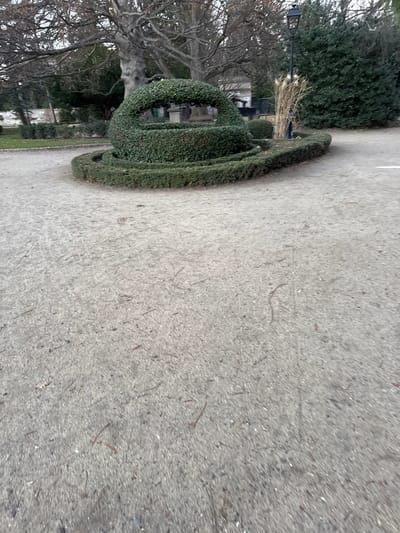A hedge sculpture resembling a handle is centered. The sculpture sits on a gray path composed of tiny rocks. A thin line of green grass is adjacent to the path, next to the sculpture. A tall leafless tree is to the left of the sculpture. A green bush and black lamp post are further left.