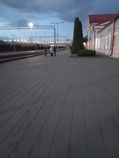 The image depicts a train station platform in Kalinkavichy, Belarus, at dusk or early evening. The platform is paved with gray rectangular tiles, laid in a diagonal pattern from the viewer's perspective. To the left, train tracks are visible, alongside a long train with illuminated windows. Overhead, a network of catenary wires and lighting poles spans the tracks. In the background, a building with a red roof and white walls is visible, featuring arched windows. A tall, conical evergreen tree stands in front of the building, accompanied by a rounded shrub. Three individuals are standing on the platform near the tracks, facing away from the camera. The sky is overcast with clouds, and the overall lighting suggests the transition from day to night.