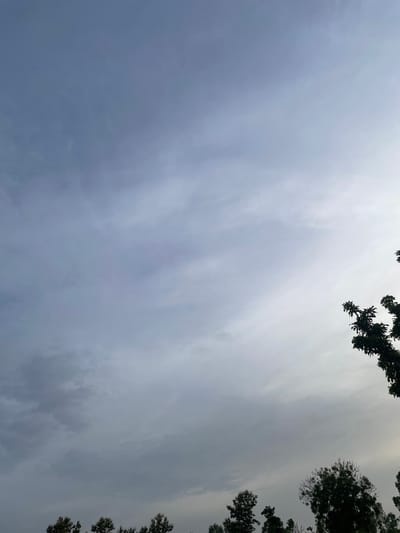 The image depicts a cloudy sky above a line of trees. The sky is predominantly gray with some lighter patches, suggesting it is daytime. In the lower right corner, the silhouette of tree branches and leaves is visible against the sky. Along the bottom edge of the image, the tops of several trees can be seen, some with foliage and others appearing bare. The scene appears to be an outdoor environment, possibly a park or a rural area. The location in Jauro Yinu, Nigeria is inferred from the prompt, but there are no specific visual cues within the image to confirm this location. There are no people, animals, or specific landmarks visible in the image.