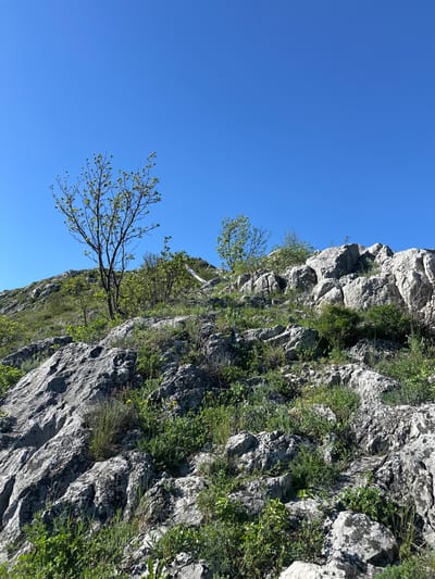 A sharp rock face, flecked with patches of greenery and clinging trees, dominates the view, set against a clear blue sky. This natural landscape is located in or near Bilka, Bulgaria. The image is angled, possibly taken from a low vantage point.