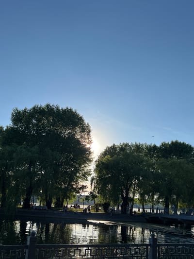 The image depicts a serene waterfront scene in Ternopil, Ukraine, likely at the Ternopil Lake or a similar urban park area. The sun is setting, casting a warm glow and creating a backlit effect through the dense foliage of mature trees. These trees, predominantly willows with their characteristic drooping branches, line the edge of the water, creating a picturesque canopy.
In the foreground, a body of water reflects the sky and the silhouettes of the trees. A decorative metal railing or fence runs along the lower edge of the frame, providing a boundary between the viewer and the water.
On the embankment behind the trees, several individuals are visible. They are spread out, with some sitting on the grass or benches, others standing and walking along a paved pathway or promenade. The lighting suggests a late afternoon or early evening, a time when people might gather to relax and enjoy the natural surroundings. The atmosphere appears calm and tranquil, typical of a public park.
The sky is a clear, bright blue with a few wispy clouds, and the sun is partially obscured by a large tree, its rays filtering through the leaves. A small bird is visible in flight against the sky in the upper right portion of the image. The overall impression is one of a peaceful urban oasis, a place for recreation and contemplation.