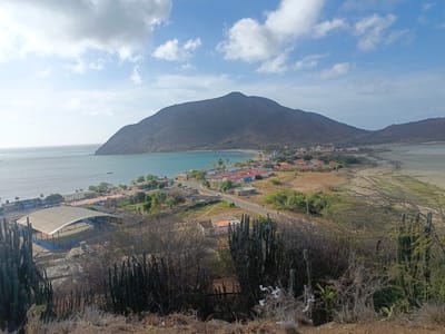 The scene depicts a panoramic view of Juan Griego, Venezuela. In the mid-ground, a densely populated area of buildings with red and blue roofs is nestled along the turquoise coastline. A small beach is visible. A large, dark mountain dominates the background. In the foreground, arid vegetation including cacti and dry scrub covers the hillside. The sky is blue with scattered clouds. A body of water, possibly a lagoon or inlet, lies to the right, separated from the ocean. No people are clearly visible.