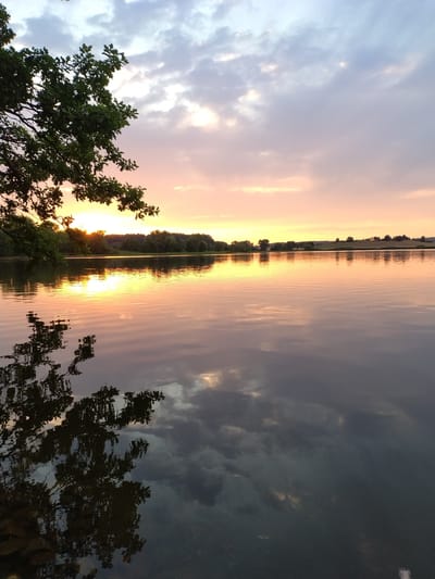 An image captured at dusk over a body of water near Kestřany, Czechia, showcases a serene landscape. The sky is painted with soft hues of pink, orange, and blue, transitioning into a darker tone towards the top. Clouds drift across the sky, with patches of sunlight breaking through, casting a warm glow. The water's surface is calm, reflecting the sky and the surrounding treeline, which forms a dark silhouette against the horizon. In the foreground, a branch of a leafy tree extends from the left side of the frame, its dark leaves contrasting with the lighter tones of the sky. The water also reflects the darker tones of the sky and the shadowy outlines of the tree's branches. The scene depicts a tranquil evening by the water, with the natural beauty of the sunset dominating the view.