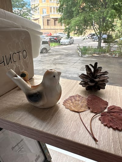 The image shows a still life arrangement on a wooden surface, with a window view of a street scene in Saint Petersburg, Russia. The foreground features a ceramic figurine of a cat with a pipe-like tail, possibly a whistle. Beside it, a rectangular ceramic object has the word "ЧИСТО" (CHISTO, meaning "clean" in Russian) written on it in black lettering. Scattered on the wooden surface are dried autumn leaves and a pine cone.
The window view reveals a street with parked cars and residential buildings. The presence of parked cars and the general streetscape suggest an urban setting. The dried leaves and pine cone indicate an autumn season. Sunlight is visible, casting shadows, which implies it is daytime. The overall mood is quiet and contemplative, with a focus on everyday objects and a glimpse of the outside world. The image is taken in portrait orientation.