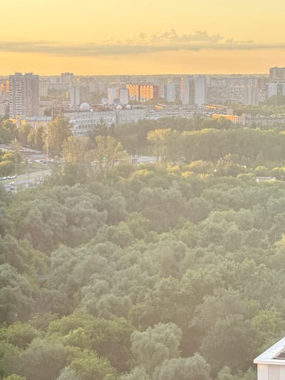 The image shows an aerial view of a city with a dense forest in the foreground. The city appears to be Dolgoprudny, Russia, with its characteristic tall buildings and a hazy, warm sky, likely due to sunset or sunrise. The forest, predominantly composed of green deciduous trees, occupies the lower half of the frame, obscuring much of the city's lower levels. A road with several cars is visible on the left side of the image, bordering the forest. The sky is a gradient of pale yellow and orange, with wispy clouds. The overall impression is of an urban landscape encroached upon by nature, bathed in soft, warm light.