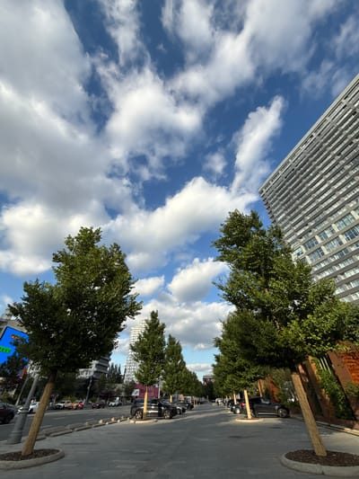The image depicts a street scene in Moscow, Russia, bathed in the soft light of what appears to be late afternoon or early evening. The sky is a vibrant blue, dotted with fluffy white clouds, suggesting fair weather. On the left side of the frame, a tall, modern building with a grid of windows dominates the upper portion, its reflective surfaces catching the light. In front of the building and along the right side of the street, a line of leafy green trees creates a natural canopy, their branches casting dappled shadows on the pavement.
The street itself is paved with interlocking stones, and a row of parked cars lines the curb. The cars are varied in make and model, suggesting an urban environment. Some of the trees have decorative wooden wraps around their bases. Further down the street, more buildings and trees are visible, receding into the distance. The overall atmosphere is one of urban tranquility, with the natural elements of trees and sky providing a contrast to the man-made structures. There is no overt activity or event taking place; it's a static street view. No text is clearly discernible in the image.