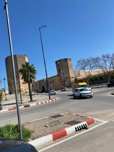 The image displays an exterior view of Bab Mahrouk, a historic city gate and surrounding defensive walls in Fez, Morocco, under a clear blue sky. The gate features a large arched entrance flanked by two prominent, light brown, octagonal stone towers with visible embrasures. The extensive city walls, constructed from similar stone, extend outward from the towers and exhibit crenellated tops.
In the immediate foreground, a paved street curves to the right, bordered by a red and white painted curb with a storm drain visible. A central median strip, also with red and white curbing, separates traffic lanes. A white SUV, possibly a Volkswagen Tiguan, is observed in motion on the road, turning towards the right. Behind it, a yellow passenger van is also in transit. Closer to the gate, two white taxis are either parked or slowly moving.
A tall palm tree stands to the left of the central gate, adjacent to the left tower. Bare deciduous trees with visible branches line the top of the wall segment extending to the right. Two tall, dark grey streetlights with overhead luminaires are positioned in the left and central areas of the frame, angled towards the street. Grass patches are present on the unpaved ground to the left of the road. The overall scene indicates a sunny day with moderate vehicle traffic in an historic urban setting.