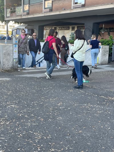 The image shows a group of seven people, including two women with dogs, walking down a set of stairs near the intersection of Via dei Serpenti and Via del Boschetto in Roma, Italy. The stairs are made of concrete and have a metal railing. There are some leaves on the ground in front of the stairs. The group is walking in a single file line, with the woman with the dog in the lead. The woman is wearing a white shirt and blue jeans, and she is holding the leash of a black and white dog. The dog is walking beside her, and its tail is wagging. The woman behind her is wearing a red shirt and blue jeans. There is a building in the background with a storefront labeled “ALDO VALENTINI” and a sign that says "Stile."