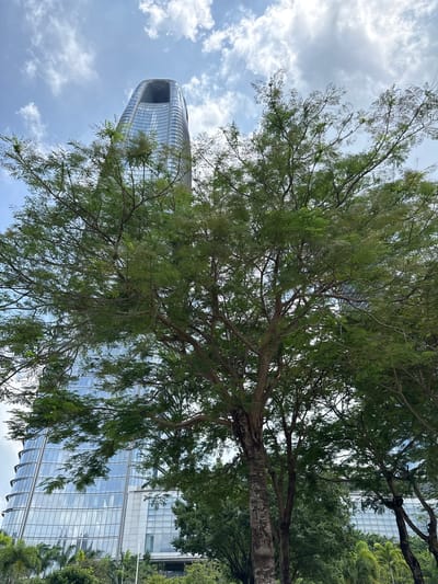 An upward-facing shot captures a modern, curved glass skyscraper against a cloudy sky, partially obscured by the dense green foliage of several trees in the foreground. The building, located in Tianhe District, China, features a prominent oval-shaped opening near its apex and reflects the surrounding environment. Lush greenery, including palm trees and other various trees, forms the lower portion of the scene, creating a contrast between the natural and man-made elements. The sky is a mix of blue patches and white clouds, suggesting daylight. There are no people visible in the image.