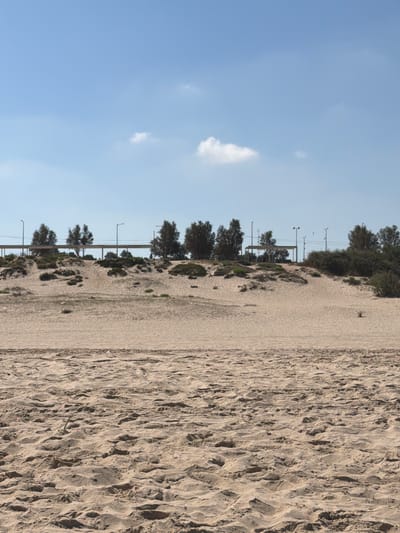 The image depicts a sandy beach with dunes in the foreground. In the midground, there is a line of trees and vegetation atop the dunes, with a raised walkway or bridge structure visible behind them. Several lampposts are spaced along this structure. The sky is blue with a few scattered white clouds. The scene is consistent with a public park or recreational area along the coast of Ashkelon, Israel, likely near the promenade or a similar coastal development, offering views of the Mediterranean Sea beyond the frame. The lighting suggests it is daytime, with the sun illuminating the sand and landscape. There are no visible people or specific actions being performed by them.