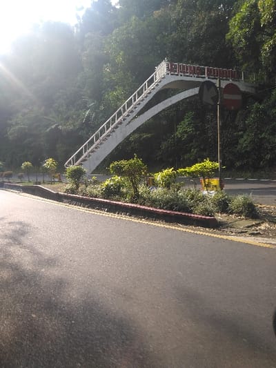 The image displays an outdoor scene of a two-lane asphalt road in Bogor, Indonesia, featuring the Jembatan Penyeberangan Orang (JPO) Pulau Emas pedestrian bridge. The road, marked with a double yellow center line and a single yellow edge line, extends from the foreground into the midground. To the immediate right of the road is a low, reddish-brown concrete curb delineating a landscaped median strip planted with various green shrubs and small trees.
Dominating the midground is a white pedestrian overpass, characterized by an upward-sloping staircase on the left and a visible arched underside. The bridge structure includes white railings with a reddish-brown top rail. The words "PULAU EMAS" are legible in white lettering on the upper section of the bridge's walkway. Adjacent to the road on the right, two circular traffic signs are mounted on a pole: a red circle with a white horizontal bar (indicating No Entry) and a black arrow pointing left with a red diagonal line through it (likely a No Left Turn restriction).
The background consists of a steep, densely vegetated hillside covered with numerous green trees and foliage. Strong sunlight, originating from the upper left, casts a bright flare and illuminates the scene, creating distinct shadows on the road surface. No individuals or active movements are present in the frame.