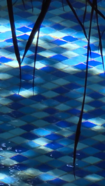 The image shows a blue diamond-patterned surface, possibly tiles or a wall, partially obscured by dark, thin, branch-like structures. Some areas on the diamond pattern have a slight iridescence. There are small, blurry white specks to the bottom-right, which could be bubbles in water. There are no people visible. The location and context are unknown.