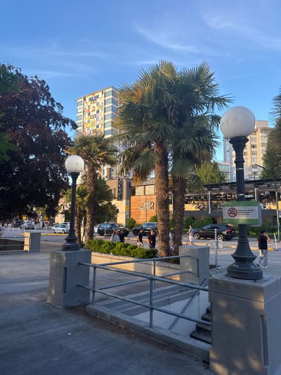 The image depicts a street scene in Vancouver, Canada, likely in the summer due to the clear sky and lush foliage. In the foreground, there are two grey concrete pillars with metal railings, leading down a set of stairs. To the left, a large dark-leaved tree is visible. Behind this, palm trees dominate the mid-ground, with a colorful mural adorning the side of a building in the distance. A lamppost with a spherical white light stands to the right of the palm trees, with a green sign attached to its base reading "Keep our parks and beaches smoke-free." Several cars are present on the street, some parked and others in motion. People are walking on the sidewalk and crossing the street, with some seated at an outdoor patio area of a building that appears to be a restaurant or bar, indicated by the "BEER GARDEN" sign. The overall lighting suggests it is late afternoon or early evening, with the sun casting long shadows.