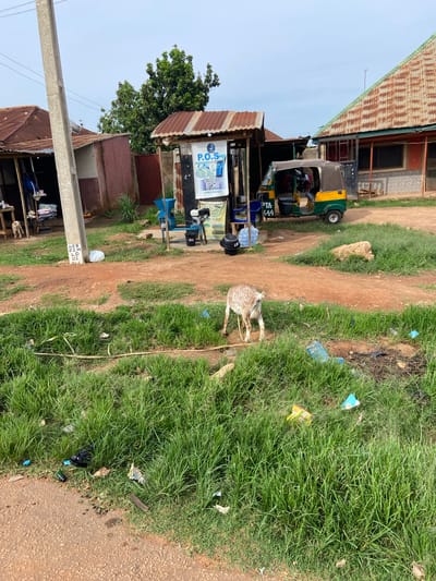 In a scene depicting a dusty roadside in Du, Nigeria, a small, light-colored goat with brown spots stands on a dirt path. The goat is lying down or in the process of getting up, with its head lowered. To the left of the goat, a small, open-fronted shop with a corrugated metal roof displays various items, including what appears to be water bottles and a sign with colorful graphics. Behind the shop, a three-wheeled auto-rickshaw, painted green and yellow, is parked. The surrounding area is characterized by sparse vegetation, with patches of tall green grass growing along the path and in the background. Scattered among the grass are pieces of litter, including plastic bottles and wrappers, suggesting a somewhat unkempt environment.

In the background, more buildings with corrugated metal roofs are visible, along with a large tree. A concrete utility pole stands in the foreground on the left, with laundry hanging on display below. The sky is bright and clear, indicating it is daytime, likely sunny, with no apparent clouds. The overall impression is of a rural or semi-urban setting in Nigeria, with everyday life unfolding on a well-traveled dirt road. Visible text includes what appears to be pricing or product information on a sign in the shop, and possibly some labeling on the auto-rickshaw, though it is not clearly legible.