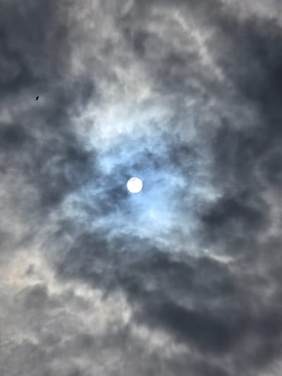 The image displays a view of the sky above Ермолаево, Russia, dominated by a dramatic cloudy atmosphere. In the center, the sun is visible as a bright, circular orb, partially obscured by wispy clouds that create a halo effect around it. The clouds are a mixture of dark grays and lighter whites and blues, suggesting a dynamic weather pattern. To the left of the sun, a small bird is captured in flight against the cloudy backdrop. The overall impression is one of an overcast day with a break in the clouds allowing the sun to shine through.