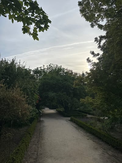 The image shows a pathway within a park or garden in Madrid, Spain. The path is light-colored and appears to be made of gravel or a similar material. It leads into a shaded area created by dense trees and foliage. Both sides of the path are lined with neatly trimmed hedges. The sky is visible through the trees, with contrails suggesting airplane activity. The overall impression is one of a tranquil and well-maintained outdoor space.