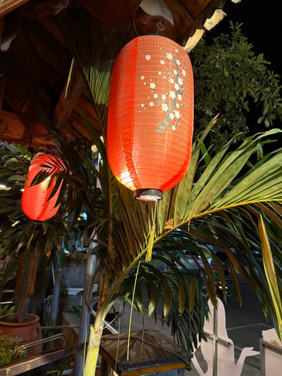 The image captures a nighttime scene in Nha Trang, Vietnam, characterized by the warm glow of traditional red lanterns. Two lanterns are visible: a larger one in the foreground, adorned with a delicate white cherry blossom branch design, and a smaller, partially obscured one further back. These lanterns are nestled amongst lush, tropical foliage, likely palm fronds, which cast dramatic shadows and create an intimate, atmospheric setting. The backdrop is dark, indicating it's nighttime, with hints of other lights and structures suggesting an outdoor, possibly commercial or residential, area. The overall mood is tranquil and inviting, with the soft light from the lanterns and the natural greenery contributing to a sense of peaceful ambiance. The image appears to be taken outdoors, possibly in a garden, patio, or an area decorated for an event or establishment.