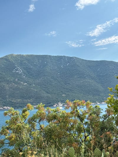 A scenic view of a lush green mountain overlooking a bright blue bay, with a small town nestled along the coastline. In the foreground, a dense thicket of trees and dry vegetation partially obscures the view of the water and the town. A single, tall, slender tower is visible on the mountainside, just to the left of the center, and a few scattered white buildings are also present on the lower slopes. The sky is clear blue with a few wispy white clouds. The overall impression is of a tranquil, natural landscape, possibly in a coastal Mediterranean region. The location is identified as Dražin Vrt, Montenegro.