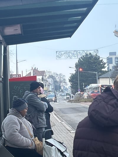The image depicts a street scene at a bus stop in Schiltigheim, France, under an overcast sky. In the foreground, beneath a dark green bus shelter canopy, a woman in a grey puffer jacket and a patterned beanie is seated on a bench, with a tan cross-body bag. To her right, a man wearing a grey jacket and a dark beanie stands with his arms crossed. A partially visible individual in a dark jacket with a fur-lined collar is behind him. A white bag or trolley is on the ground beside the seated woman. A red bus stop information panel with green graffiti and partial text "METZ" is visible on the left. To the far right, the back of a person in a dark, quilted jacket partially obscures the view.
The midground reveals a two-lane road with traffic, where vehicles including a white bus and a red car are stopped at a red traffic light on the right side. A large evergreen tree stands near the traffic light pole. A light-colored decorative banner featuring circular and wavy designs hangs across the street above the vehicles. The background consists of residential buildings, some with red roofs, and mostly bare trees lining the street, receding into the distance.