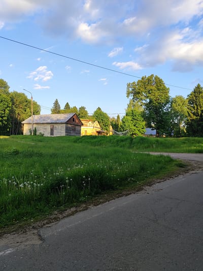 This image captures a tranquil, semi-rural landscape in Mednoye-Vlasovo, Russia, bathed in the warm light of what appears to be late afternoon or early evening. The scene is characterized by lush greenery under a clear blue sky dotted with scattered white and grey clouds.
In the foreground, a vibrant field of green grass, abundant with white dandelion seed heads, stretches across the lower and middle sections of the frame. To the left, a weathered, light-colored wooden shed or small building with a dark, possibly slate or shingle, roof stands prominently. Its wooden walls show signs of age with peeling paint, and a simple wooden door is visible on its facade. Adjacent to the shed, a street light pole rises, and power lines can be seen stretching across the upper portion of the image.
Behind the shed, other older structures with warm, possibly yellow or orange, facades are partially visible, nestled among dense trees. The background is dominated by a variety of mature trees, including both broadleaf and coniferous species, which form a rich green backdrop. The sunlight illuminates the tops of the trees and the side of the wooden shed, creating a sense of depth and warmth.
A paved road, showing some cracks and wear, runs along the right side and bottom of the frame, separating the viewer from the grassy field and buildings. The road curves slightly, suggesting a path through the area. No people or animals are visible in the scene. The overall impression is one of peaceful rural serenity, with elements of natural beauty and a hint of aged architecture. There is no visible text in the image.